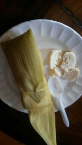 20160705_151432_resized