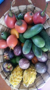 20160718_150149_resized