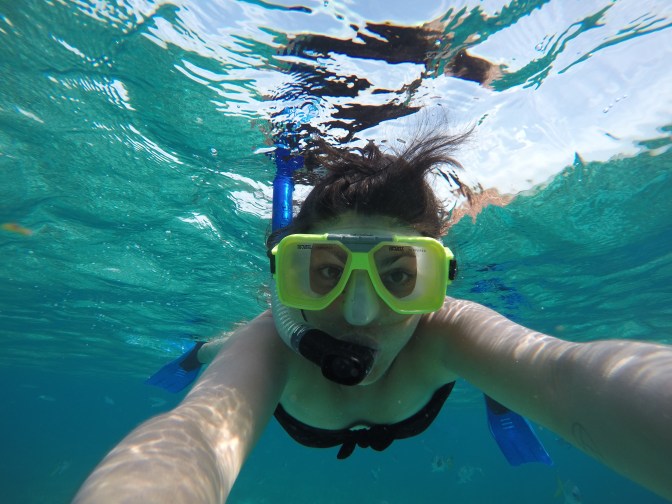 DCIM100GOPROGOPR1039.