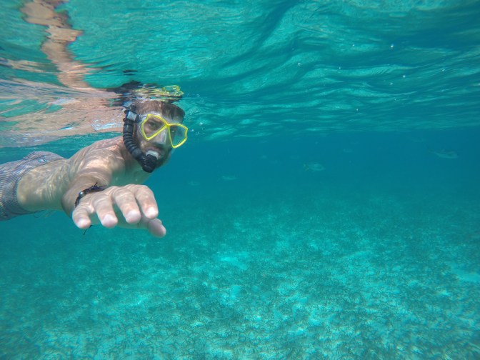 DCIM100GOPROGOPR1040.