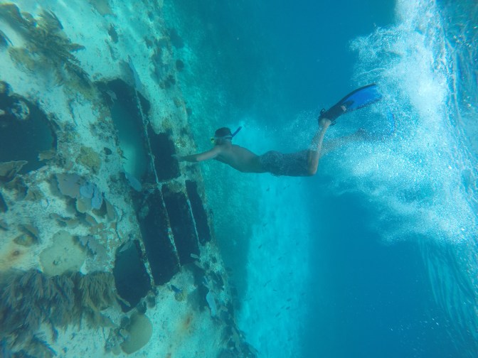 DCIM100GOPROGOPR1178.