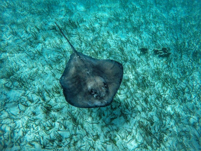 received_10154436758119747-01