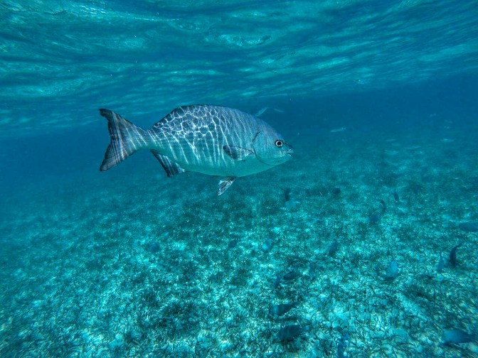 received_10154436758609747-01