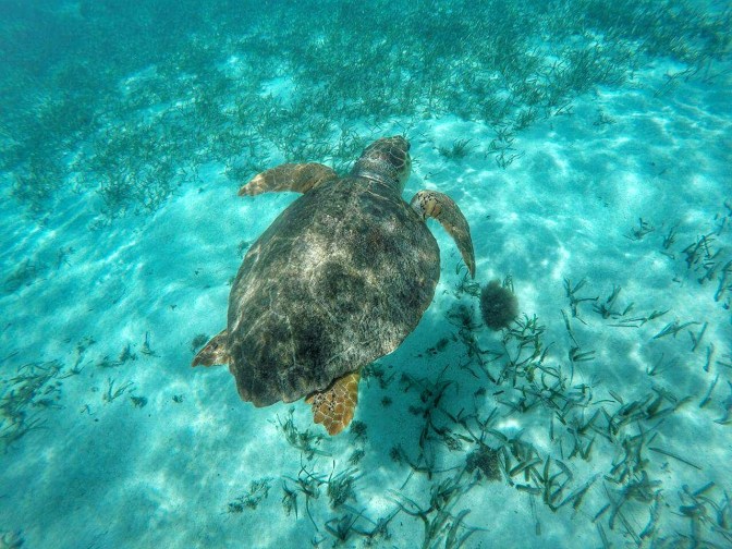 received_10154436759564747-01