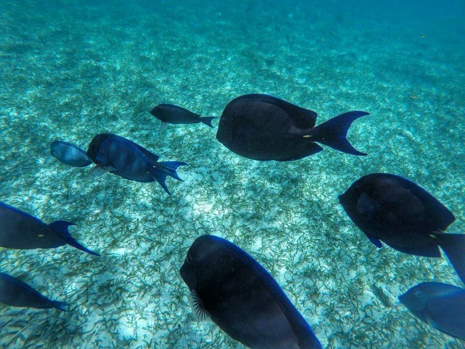 received_10154436761534747-01