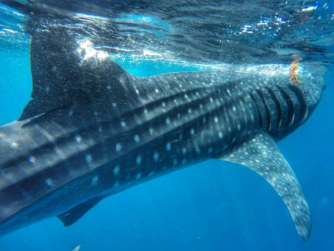 received_10154452778494747-01