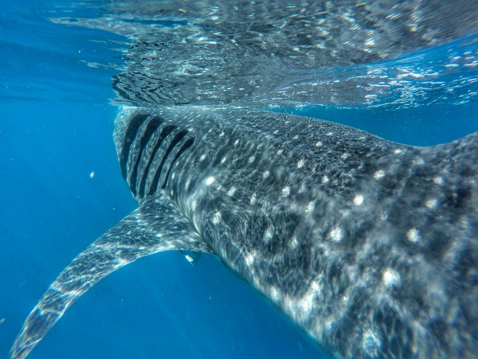 received_10154452815039747-01