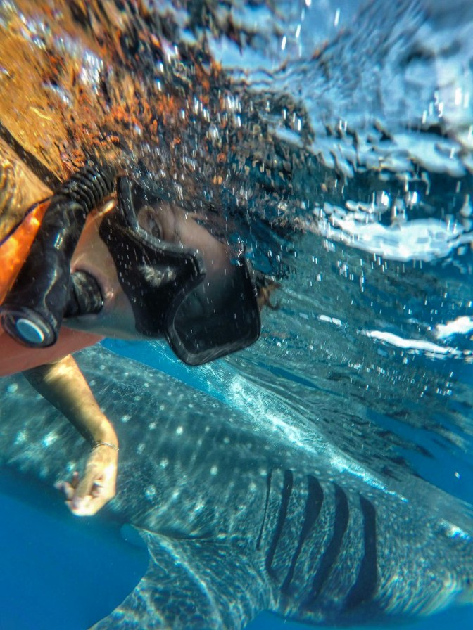 received_10154493064554747-01