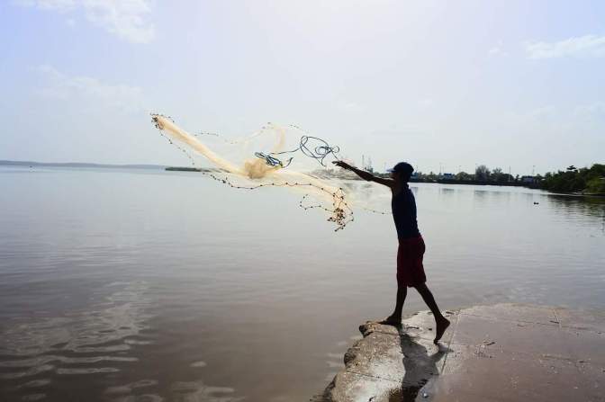 received_10154709748404747