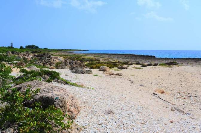 received_10154711781499747