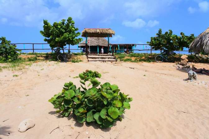 received_10154711781534747