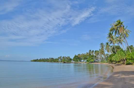 FB_IMG_1484797934533