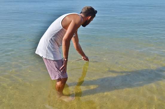 FB_IMG_1484797947106